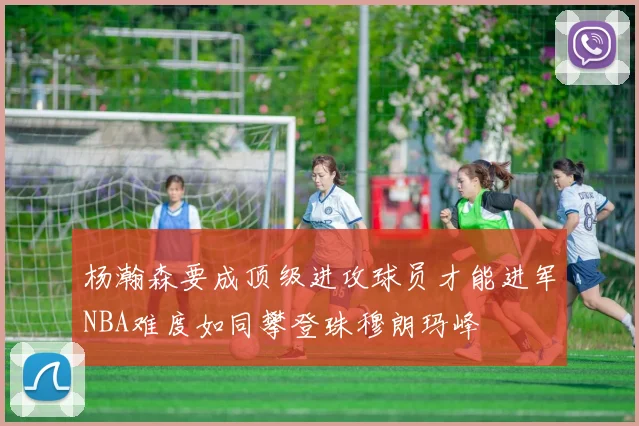 杨瀚森要成顶级进攻球员才能进军NBA难度如同攀登珠穆朗玛峰