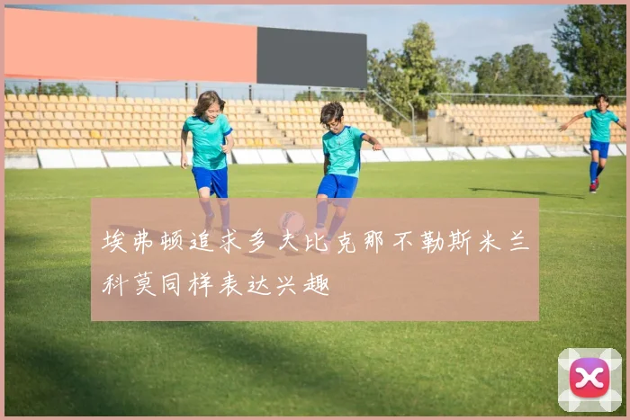 埃弗顿追求多夫比克那不勒斯米兰科莫同样表达兴趣